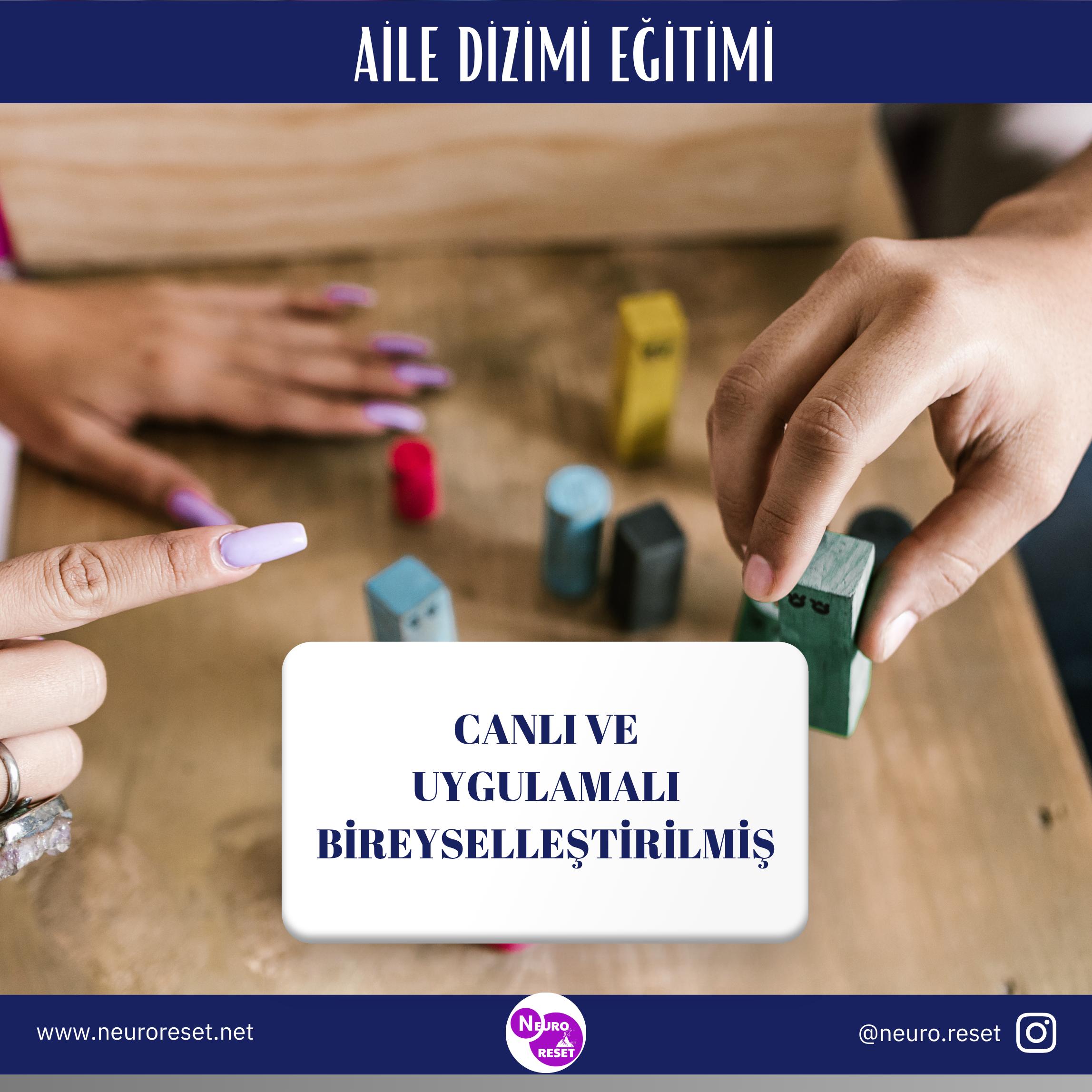 BİREYSEL AİLE DİZİMİ EĞİTİMİ